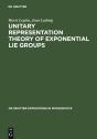 Unitary Representation Theory Of Exponential Lie Groups - Preview
