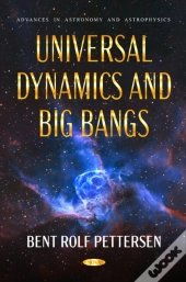 Universal Dynamics And Big Bangs