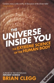 Capa do artigo Universe Inside You