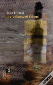 Capa do artigo Unknowed Things