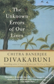 Capa do artigo Unknown Errors Of Our Lives