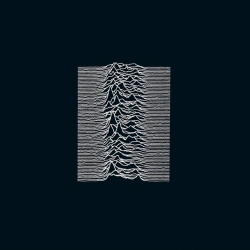 Capa do artigo Unknown Pleasures - Vinil