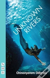 Capa do artigo Unknown Rivers