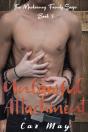 Unlawful Attachment - Preview