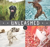 Capa do artigo Unleashed
