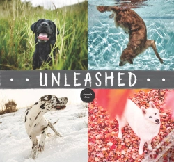 Capa do artigo Unleashed