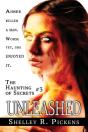 Unleashed - Preview