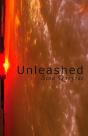 Unleashed - Preview