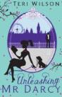 Unleashing Mr Darcy - Preview