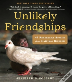 Capa do artigo Unlikely Friendships