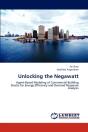 Unlocking The Negawatt - Preview
