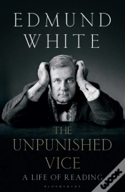 Capa do artigo Unpunished Vice