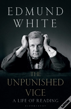 Capa do artigo Unpunished Vice
