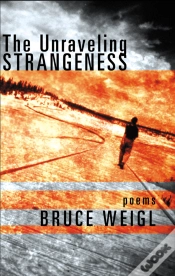 Capa do artigo Unraveling Strangeness