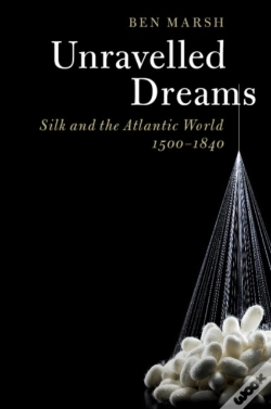 Capa do artigo Unravelled Dreams