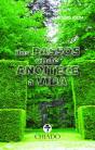 Uns Passos Onde Anoitece a Vida - Preview