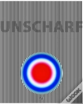 Unscharf Nach Gerhard Richter /Allemand