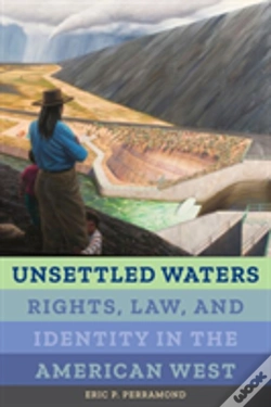 Capa do artigo Unsettled Waters
