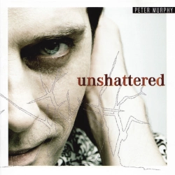 Capa do artigo Unshattered - CD