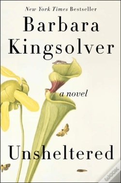 Capa do artigo Unsheltered