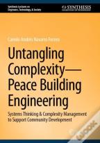 Untangling Complexityâ€”Peace Building Engineering