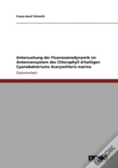 Untersuchung Der Fluoreszenzdynamik Im Antennensystem Des Chlorophyll D-Haltigen Cyanobakteriums Acaryochloris Marina