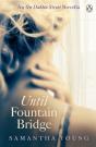 Until Fountain Bridge - Preview