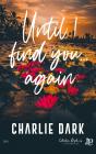 Until I Find You... Again - Preview