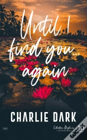 Capa do artigo Until I Find You... Again