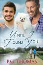 Until I Found You - Preview
