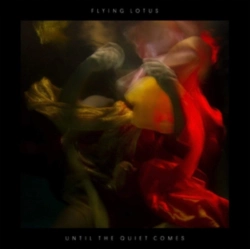 Capa do artigo Until the Quiet Comes - Vinil