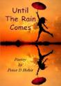 Until The Rain Comes - Preview