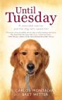 Until Tuesday - Preview