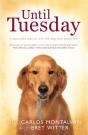 Until Tuesday - Preview