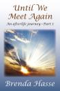 Until We Meet Again: An Afterlife Journe - Preview