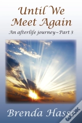 Until We Meet Again: An Afterlife Journe