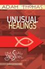 Unusual Healings Personal Reflection Guide - Preview