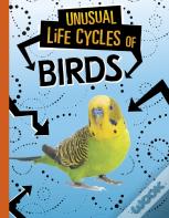Unusual Life Cycles Of Birds