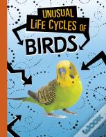 Unusual Life Cycles Of Birds