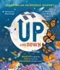 Up And Down - Preview