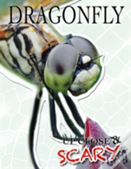 Up Close & Scary Dragonfly