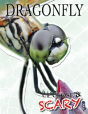 Up Close & Scary Dragonfly - Preview