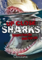 Up Close Sharks - Preview