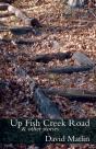 Up Fish Creek Road & Other Stories - Preview