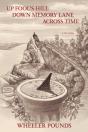 Up Fool'S Hill, Down Memory Lane, Across Time - Preview