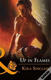 Capa do artigo Up In Flames