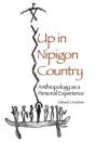 Up In Nipigon Country - Preview