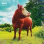 Up in the Air - CD - Preview