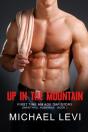 Up In The Mountain - Preview