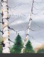 Up North - Preview